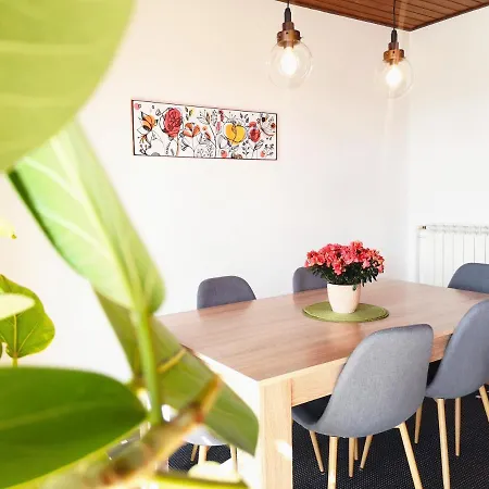 Апартаменты Apartma Jancic